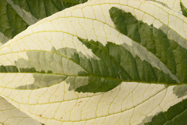 Similar image 20983465