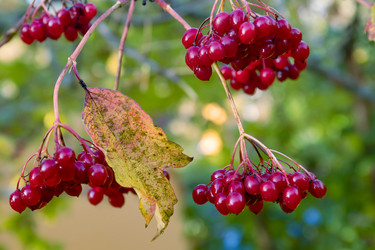 Similar image 20983469