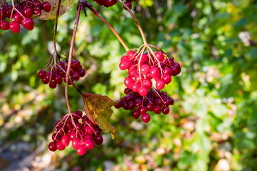 Similar image 20983471