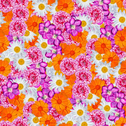 Similar image 20983472