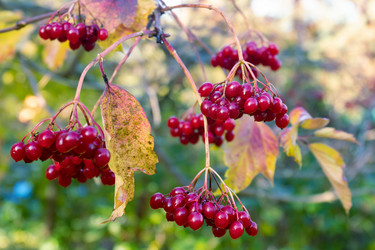 Similar image 20983473