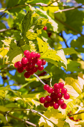 Similar image 20983475