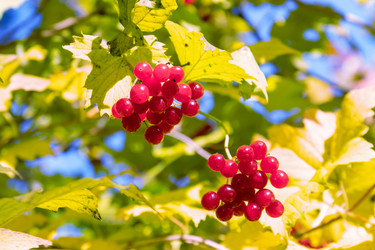 Similar image 20983476