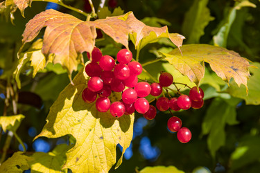 Similar image 20983477