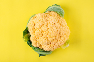 Similar image 20979013