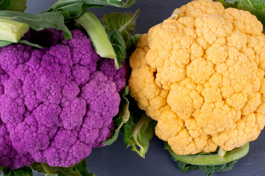 Similar image 20979016