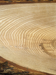 Similar image 20979219