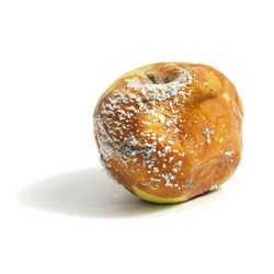 Similar image 20980179