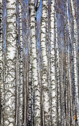 Similar image 20978357