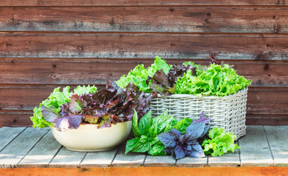 Similar image 20978695