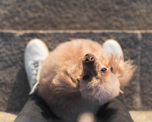 Similar image 20978369