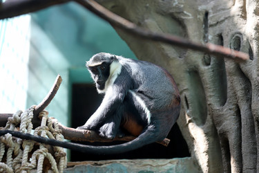 Similar image 20978372