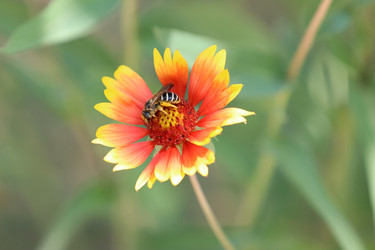 Similar image 20978373