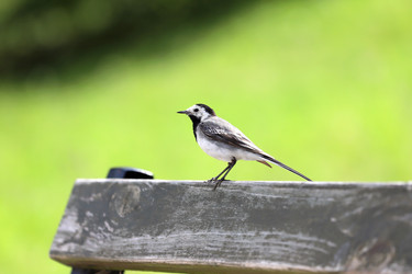 Similar image 20978374