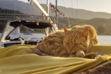 Similar image 20983291