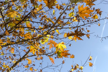 Similar image 20983294