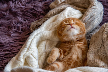 Similar image 20978382