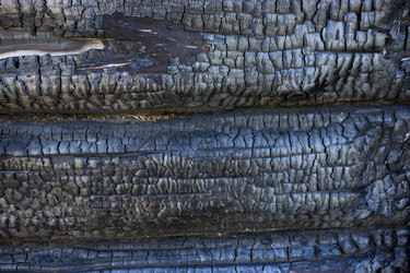 Similar image 20979555