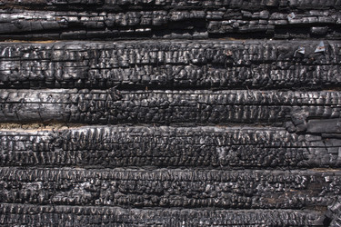 Similar image 20979557