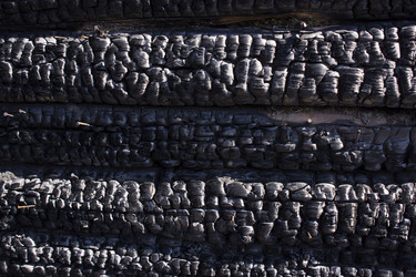 Similar image 20979558