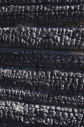 Similar image 20979560