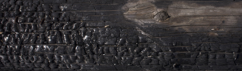 Similar image 20979562