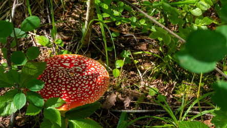 Similar image 20979587