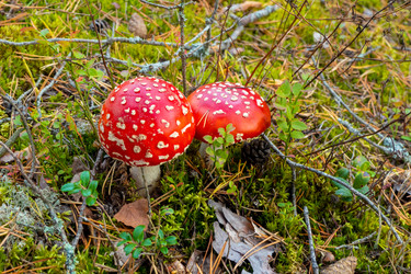 Similar image 20979588