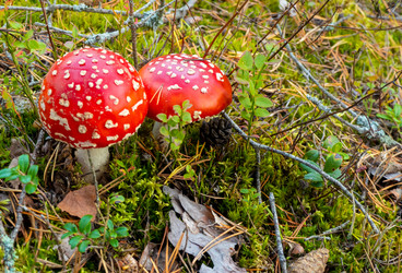 Similar image 20979589