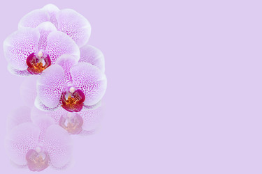 Similar image 20981488