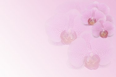 Similar image 20981489