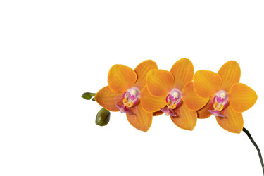 Similar image 20981490