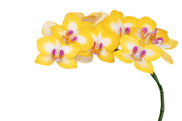 Similar image 20981506