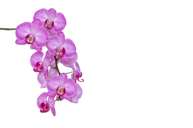 Similar image 20981507