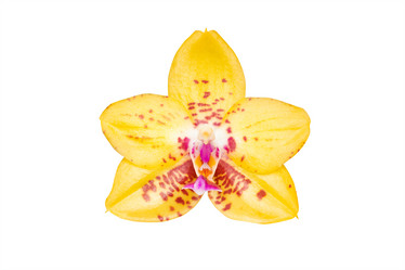 Similar image 20981508