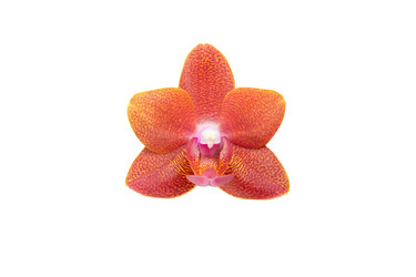 Similar image 20981510