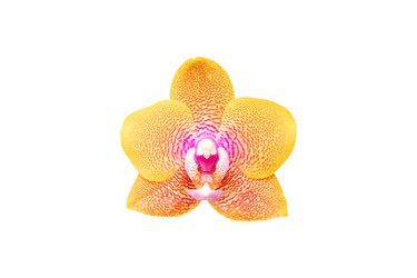 Similar image 20981511