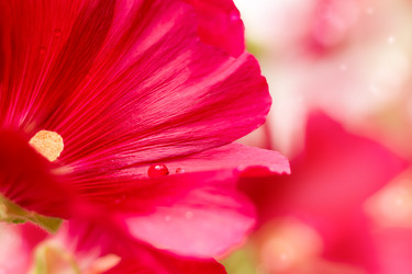 Similar image 20981539