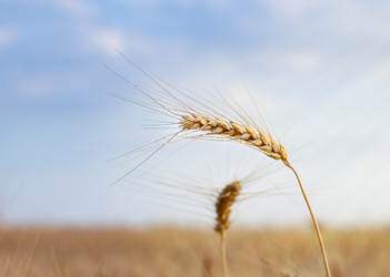 Similar image 20981540