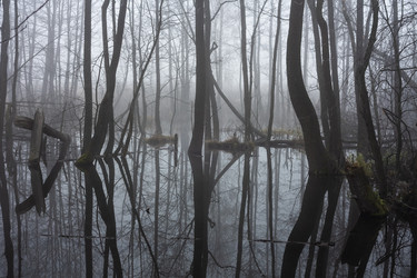 Similar image 20981102