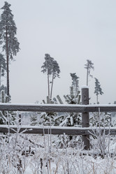 Similar image 20979483