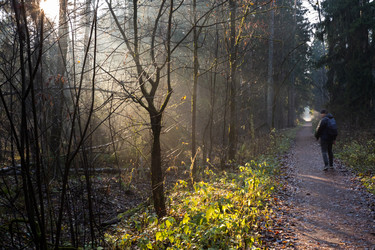 Similar image 20981103