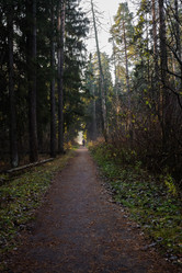 Similar image 20979484