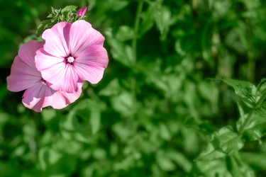 Similar image 20978386