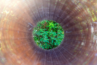 Similar image 20978387