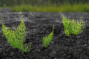 Similar image 20978389