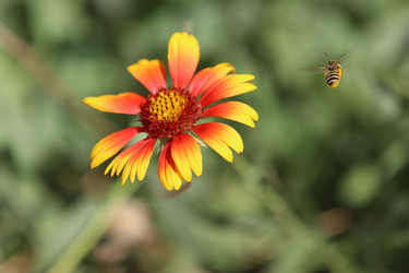 Similar image 20978378