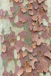 Similar image 20978517