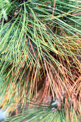 Similar image 20978518