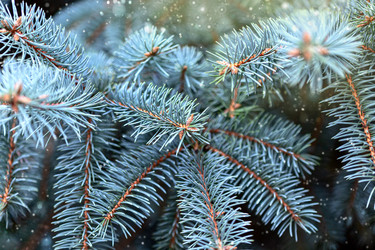 Similar image 20978522